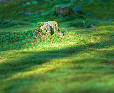 中影之星文化傳播企業(yè)官網(wǎng)|一網(wǎng)天行-網(wǎng)站建設(shè)小程序APP系統(tǒng)軟件開發(fā)公司