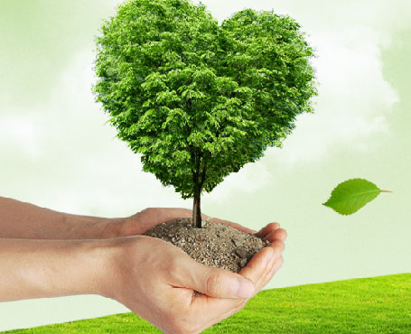 吉林天澤企業(yè)宣傳網(wǎng)站|一網(wǎng)天行-網(wǎng)站建設(shè)小程序APP系統(tǒng)軟件開(kāi)發(fā)公司