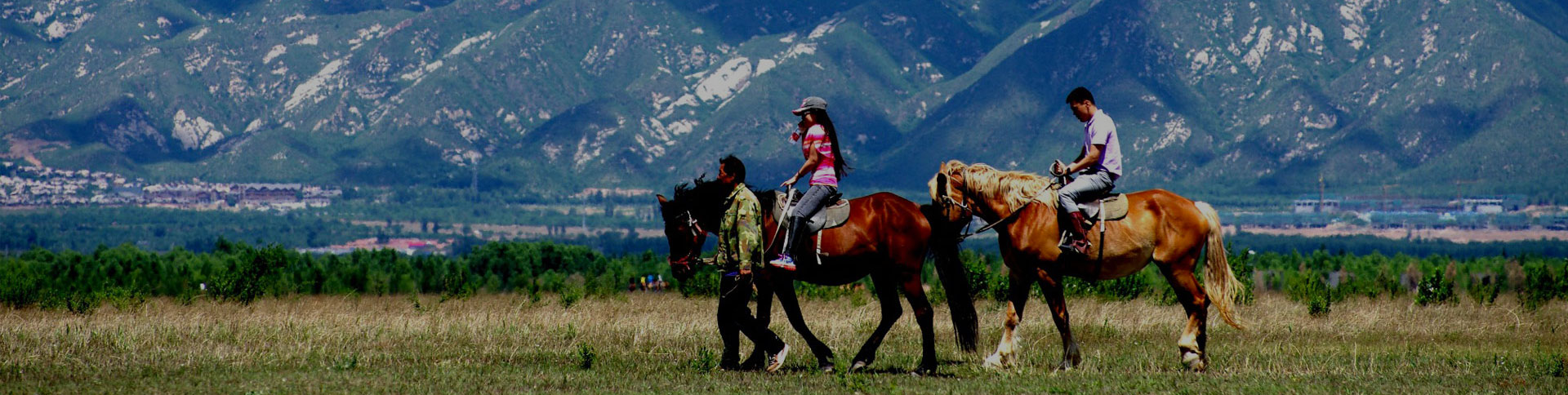 京西北旅游-微信H5展示平臺|一網(wǎng)天行-網(wǎng)站建設(shè)小程序APP系統(tǒng)軟件開發(fā)公司