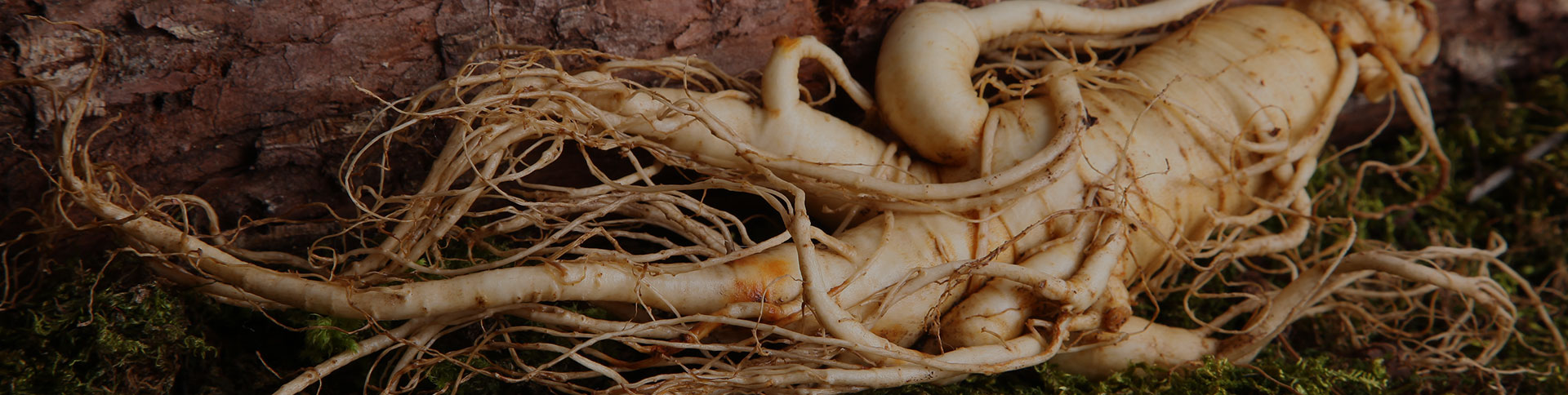 正德藥業(yè)-品牌營(yíng)銷網(wǎng)站|一網(wǎng)天行-網(wǎng)站建設(shè)小程序APP系統(tǒng)軟件開(kāi)發(fā)公司