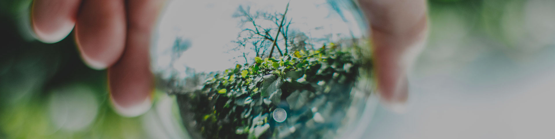 中關(guān)村節(jié)能環(huán)保專(zhuān)委會(huì)網(wǎng)站|一網(wǎng)天行-網(wǎng)站建設(shè)小程序APP系統(tǒng)軟件開(kāi)發(fā)公司